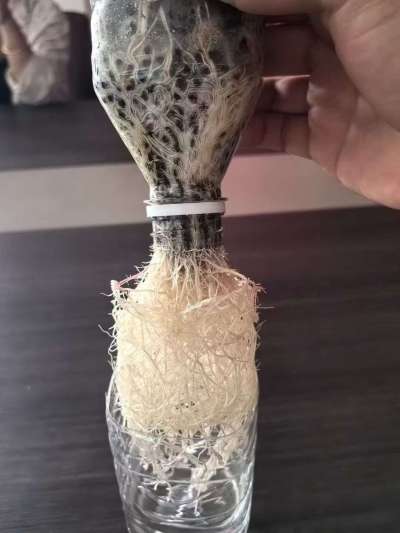 年销售量三十万吨的有机肥生产厂家，全国网点发货，资质齐全，正品保障！有机肥、生物菌肥、微生物肥料等