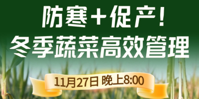 《细说农技》专家张宝林教冬季蔬菜防寒 + 促产高效管理，27 日晚 8 点！