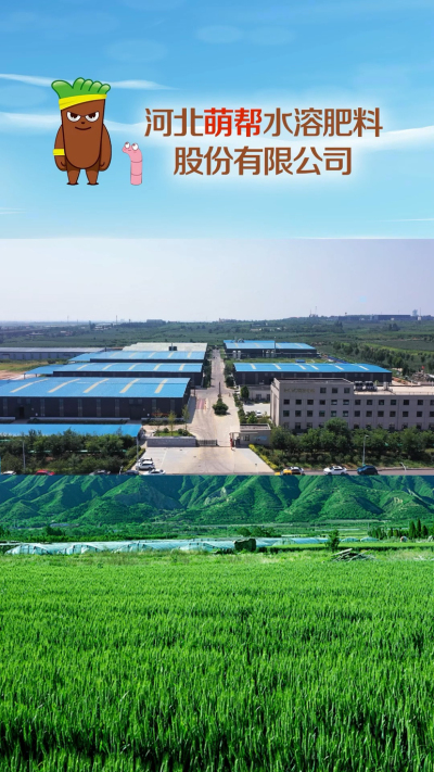 河北萌帮水溶肥料股份有限公司（一）