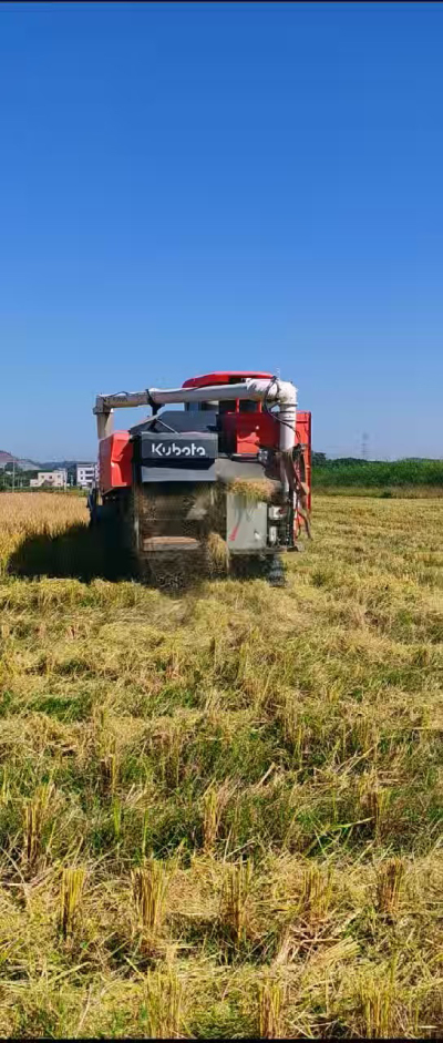 惠州基地，无人拖拉机收水稻了。