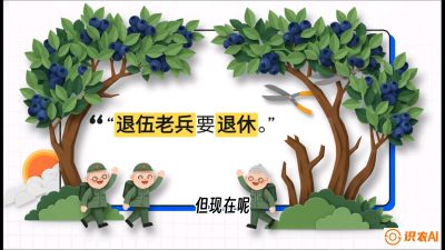 第7节：修剪决定产量（下）&mdash;&mdash;结果树的更新与疏果，课程：《蓝莓&ldquo;高产&rdquo;实战课：从选苗到丰收的10个关键点》