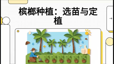 第01节：选苗与定植&mdash;&mdash;&ldquo;苗好一半收，底肥定千秋&rdquo;课程：《槟榔种植：从不懂到精通的10堂必修课》