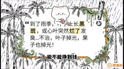 第05节：常见真菌病害&mdash;&mdash;&ldquo;炭疽与烂心，早防值千金&rdquo;《槟榔种植：从不懂到精通的10堂必修课》