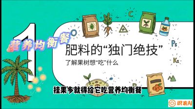 第07节：科学施肥&mdash;&mdash;&ldquo;氮磷钾配好，树壮果不倒