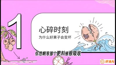 第08节：微量元素与保果&mdash;&mdash;&ldquo;补硼又补钙，果子不裂坏&rdquo;《槟榔种植：从不懂到精通的10堂必修课》