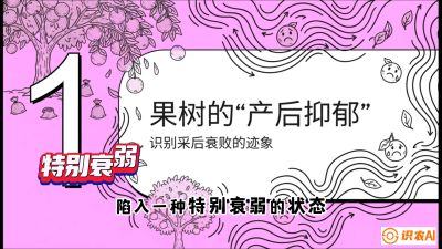 第2节：【冬肥策略】采后&ldquo;月子肥&rdquo;：大小年的精准干预术，课程：《柑橘底肥&ldquo;翻身账&rdquo;：从改土到高产的实战全书》
