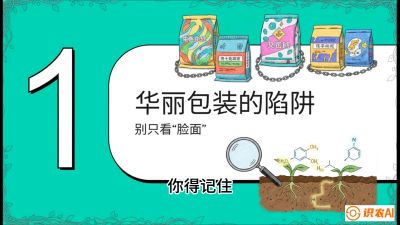 第4节：【黄金配方】底肥里的&ldquo;铁三角&rdquo;与&ldquo;微量雷区&rdquo;课程：《柑橘底肥&ldquo;翻身账&rdquo;：从改土到高产的实战全书》