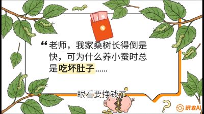 第01节：不仅仅是树&mdash;&mdash;顶级品种选配策略，课程：《桑海淘金：桑树高产与蚕桑安全进阶实战课》