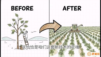 第02节：把树变成草&mdash;&mdash;&ldquo;草本化密植&rdquo;技术，课程：《桑海淘金：桑树高产与蚕桑安全进阶实战课》