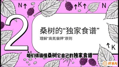 第04节：地下核动力&mdash;&mdash;桑树专用水肥一体化配方，课程：《桑海淘金：桑树高产与蚕桑安全进阶实战课》