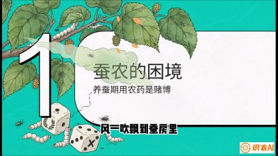 第06节：虫口夺叶（上）&mdash;&mdash;物理与生物防控绝技，课程《桑海淘金：桑树高产与蚕桑安全进阶实战课》