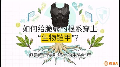 第三节：国产榴莲突围战：根系堡垒，菌根微生态构建与黄金定植窗口，课程：《国产榴莲突围战：从泰国经验到中国实操的8堂必修课（高阶实战版）》