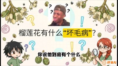 第六节：榴莲的午夜战事，夜间授粉战与花果期避雨策略，课程：《国产榴莲突围战：从泰国经验到中国实操的8堂必修课（高阶实战版）》