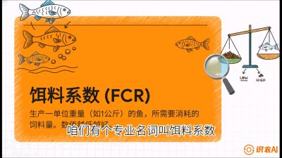 第五节：【高端单品&middot;鳜鱼】&ldquo;饲料鳜&rdquo;技术：打破吃活饵的高成本魔咒，课程：《黄金鳞甲：2025中国淡水鱼高效养殖实战营》