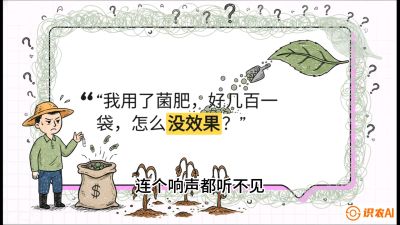 第4节（活化篇）： 土壤里的&ldquo;雇佣兵&rdquo;&mdash;&mdash;如何用菌剂以小博大，解决死棵难题，课程：《揭秘土壤的秘密：让土地帮你赚钱》#识农AI