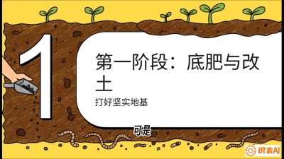 第6节（统筹篇）： 省钱又增产的&ldquo;黄金配比&rdquo;&mdash;&mdash;不同作物全年的养土实操方案，课程：《揭秘土壤的秘密：让土地帮你赚钱》#识农AI
