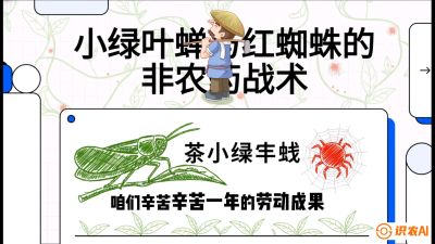 第03节（虫害篇）：看不见的吸血鬼：小绿叶蝉与红蜘蛛的&ldquo;非农药&rdquo;团灭战术（抗性治理），课程：《茶金时代：从&ldquo;看天吃饭&rdquo;到&ldquo;精准控局&rdquo;的茶叶高产提质实战课》