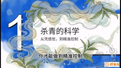 第05节（加工篇）：决胜2分钟：用&ldquo;数字温控&rdquo;破解杀青不匀，复刻大师级手工口感，课程：《茶金时代：从&ldquo;看天吃饭&rdquo;到&ldquo;精准控局&rdquo;的茶叶高产提质实战课》