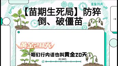 第2节：【苗期生死局】防猝倒、破僵苗，决定后期产量的&ldquo;黄金20天&rdquo;，课程：《辣椒种植实战特训营，从工业辣椒到精品小米辣，教你如何把&ldquo;草&rdquo;种成&ldquo;金&rdquo;》