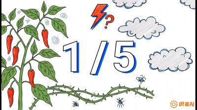 第6节：【花果爆发术】落花落果的五大元凶，与&ldquo;三喷一保&rdquo;坐果黑科技，课程：《辣椒种植实战特训营，从工业辣椒到精品小米辣，教你如何把&ldquo;草&rdquo;种成&ldquo;金&rdquo;》