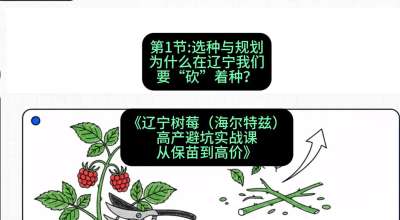 第一节： 选种与规划&mdash;&mdash;为什么在辽宁我们要&ldquo;砍&rdquo;着种？，课程：《辽宁树莓（海尔特兹）高产避坑实战课：从保苗到高价》
