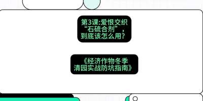 第3节：【核武药剂】爱恨交织的&ldquo;石硫合剂&rdquo;，到底该怎么用？，课程：《经济作物冬季清园&middot;实战防坑指南》#识农AI