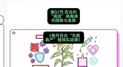 第02节：百合的&ldquo;癌症&rdquo;&mdash;&mdash;病毒病的阻断与急救，课程：《卷丹百合&ldquo;无病高产&rdquo;植保实战课》#识农AI