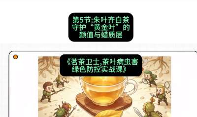 第05节：朱叶齐白茶&mdash;&mdash;守护&ldquo;黄金叶&rdquo;的颜值与蜡质层（重点），课程：《茗茶卫士&mdash;&mdash;茶叶病虫害绿色防控实战课》#识农AI
