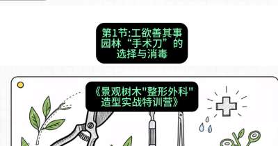 第01节：工欲善其事&mdash;&mdash;园林&ldquo;手术刀&rdquo;的选择与消毒，课程：《景观树木&ldquo;整形外科&rdquo;造型实战特训营》#识农AI