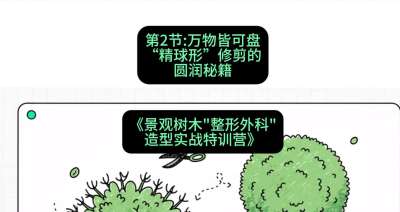 第02节：万物皆可盘&mdash;&mdash;&ldquo;精球形&rdquo;修剪的圆润秘籍，课程：《景观树木&ldquo;整形外科&rdquo;造型实战特训营》#识农AI