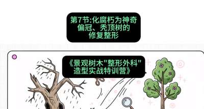 第07节：化腐朽为神奇&mdash;&mdash;偏冠、秃顶树的修复整形，课程：《景观树木&ldquo;整形外科&rdquo;造型实战特训营》#识农AI
