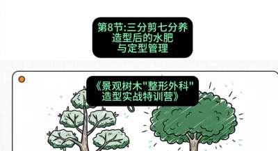第08节：三分剪七分养&mdash;&mdash;造型后的水肥与定型管理，课程：《景观树木&ldquo;整形外科&rdquo;造型实战特训营》#识农AI